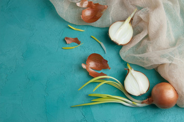 Sprouted onions on turquoise background.
