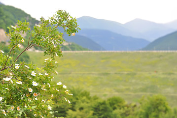 Fototapeta na wymiar Spring landscape in georgian caucasus mountains