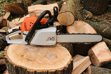 Gas powered chainsaw with wooden logs