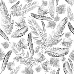 Seamless pattern black and white with hand-drawn feathers. Vector illustration