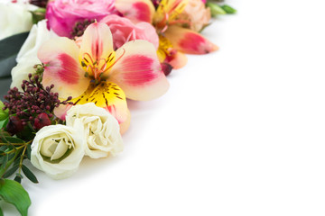 Elegant flowers on white background