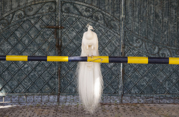 Exotic Albino Peacock sitting on a secutiry gate