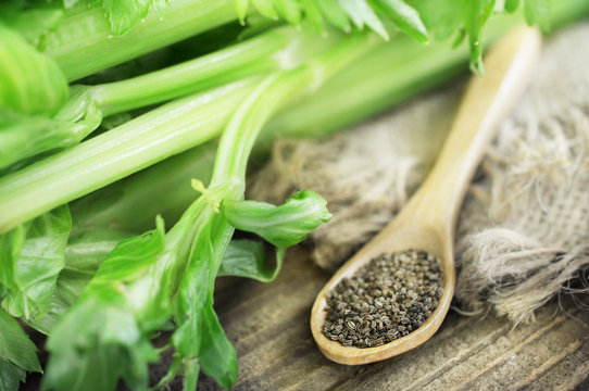 Celery seeds in spoon on wooden background, selective focus