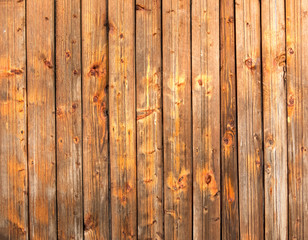 Wood Texture Background