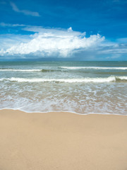  beach and tropical sea