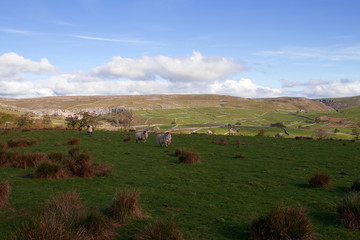 Yorkshire Dales