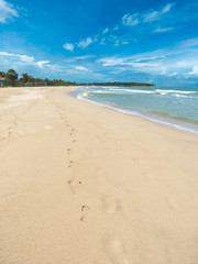  beach and tropical sea