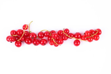 Red currant in a vacuum