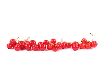 Red currant in a vacuum
