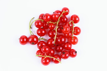 Red currant in a vacuum