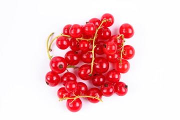 Red currant in a vacuum