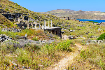 Fototapeta na wymiar View of Delos island, the most big archaeological site of Cyclades archipelago. Greece.