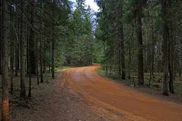 Лес