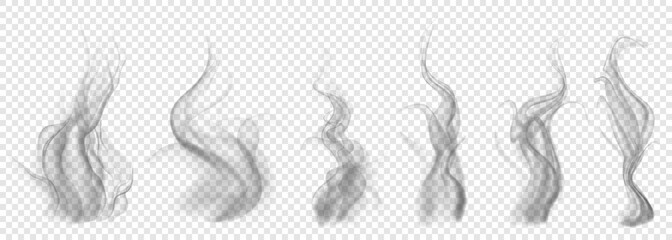 Set of translucent gray smoke on transparent background. For used on light backgrounds. Transparency only in vector format © Olga Moonlight