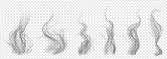 Set of translucent gray smoke on transparent background. For used on light backgrounds. Transparency only in vector format