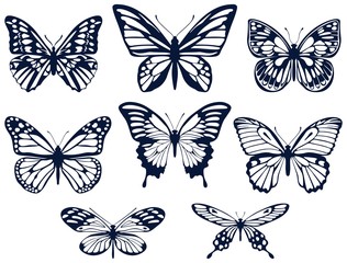 Fototapeta na wymiar Collection of silhouettes of butterflies. Butterfly icons. Vector illustration.