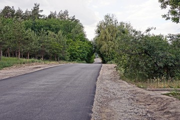 Зелёные деревья и кусты вдоль пустой асфальтированной дороги 