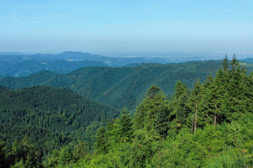 Fototapeta na wymiar Hiking impressions from the Black Forest, Germany