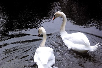 building landscape architecture sky beautiful view a nice place journey nature Rivers