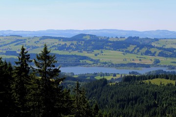 Fototapeta na wymiar Blick durch Nadelbäume auf den Grüntensee mit weitem Panorama, Allgäu