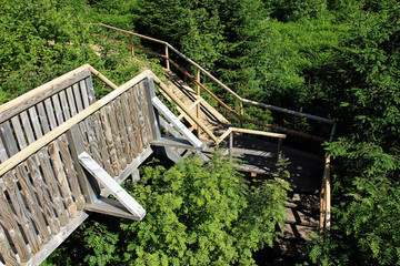 Lotharpfad in the Black Forest, Germany