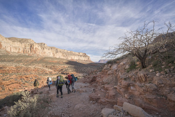 Group of Hikers backpacking through the Grand Canyon to Havasu Falls