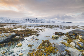 Sunset at the lakeside with rocks of a fjord during low tide in a snowy winter landscape.