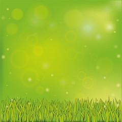 Summer green background with sparkles and grass. Flora background. Vector illustration.