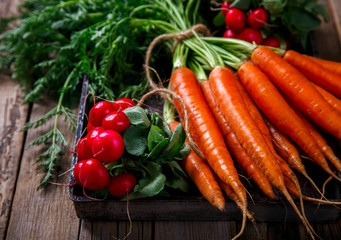 Bunch of fresh carrots with green leaves and a bunch of radishes over wooden background. Vegetable.Food or Healthy diet concept.Vegetarian. selective focus.