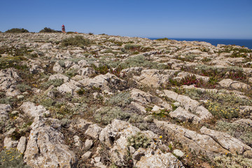 Fototapeta na wymiar Cape St. Vincent, Sagres, Algarve, southern Portugal