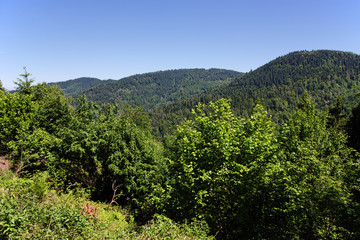 Fototapeta na wymiar Black Forest hiking trail through the woods of Gertelbach in the Buehlertal, Germany