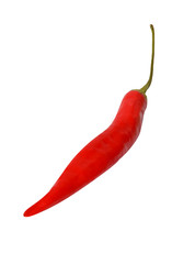 Suszona, czerwona papryczka chili na białym tle
