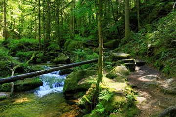 Gertelbach waterfalls, Black Forest, Germany