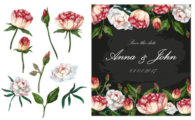 Vector wedding greeting card illustration