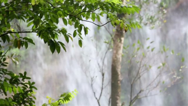 A beautiful cascade waterfall in the cuban jungles near Cumanayagua