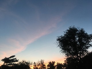 summer solstice sky at dusk with tree silhouettes