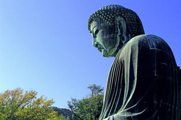 Side of the Great Buddha of Kamakura