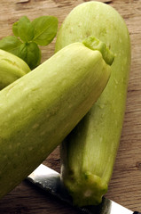 Cucurbita pepo Gartenkürbis 美洲南瓜 Obična bundeva