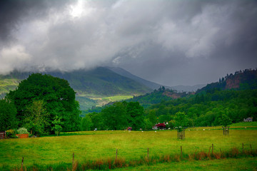 Highland landscape scene, Kilmahog, Scotland