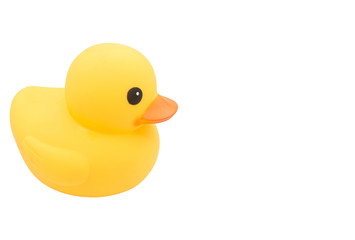Yellow rubber ducks on isolated white background.