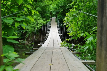 Plakat Small wood pedestrian suspension bridge with steel cables over a river in the woods