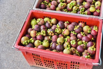 Mangosteens in Baskets at a Market in Chantaburi Province, Thailand