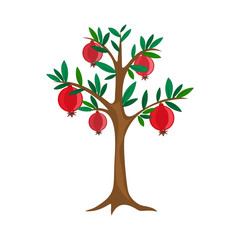 pomegranate tree, vector