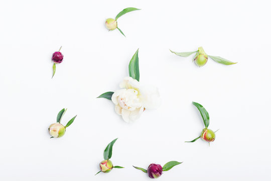 Spring flowers composition for postcard. White peony on wooden background.