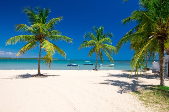 Fototapeta beautiful beach and tropical sea