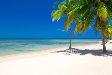 Obraz na płótnie Canvas beautiful beach and tropical sea