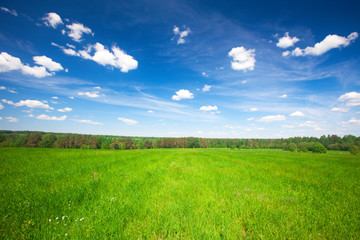 Green field under blue cloudy sky