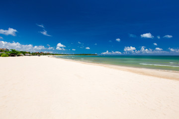 beautiful beach and tropical sea