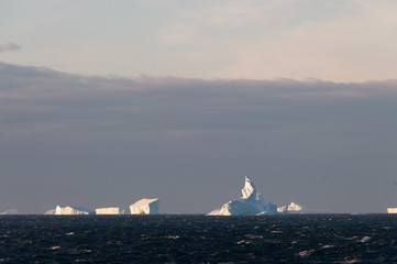 Icebergs in the evening light