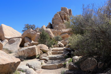 Joshua Tree National Park